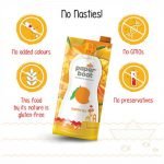 Paper-Boat-Aamras-Juice-1L.jpg