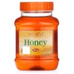 Patanjali-Honey-500g.jpg